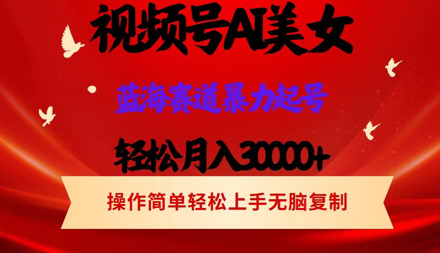 （12178期）视频号AI美女跳舞，轻松月入30000+，蓝海赛道，流量池巨大，起号猛，当…-中创网-创业项目大全_网络资源分享