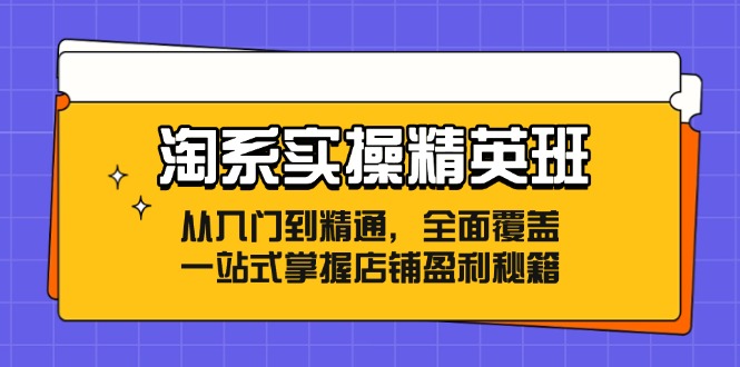 （12276期）淘系实操精英班：从入门到精通，全面覆盖，一站式掌握店铺盈利秘籍-中创网-创业项目大全_网络资源分享