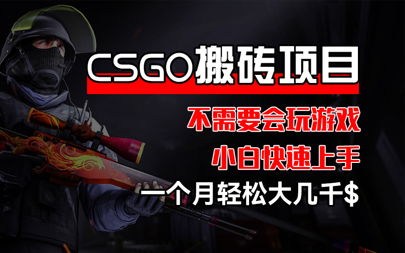 （12332期）CSGO 装备搬砖项目，操作简单，不需要会玩游戏，小白也能快速上手，一…-中创网-创业项目大全_网络资源分享
