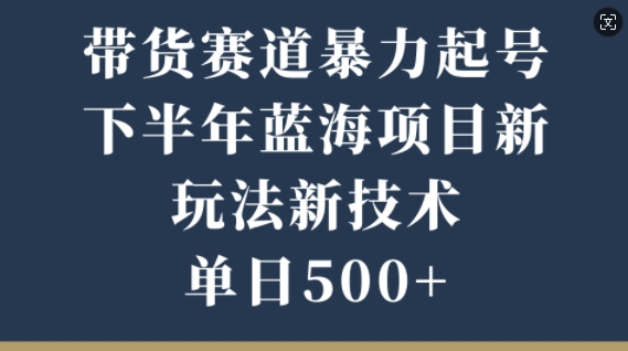带货赛道暴力起号，下半年蓝海项目，新玩法新技术，单日500+-中创网-创业项目大全_网络资源分享