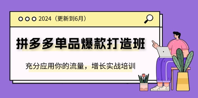 2024拼多多单品爆款打造班，充分应用你的流量，增长实战培训(更新6月)-中创网-创业项目大全_网络资源分享