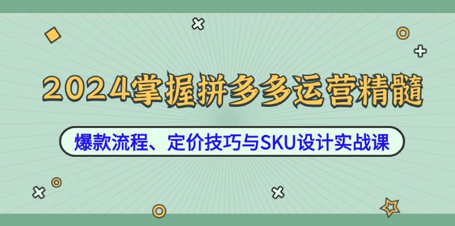 （12703期）2024掌握拼多多运营精髓：爆款流程、定价技巧与SKU设计实战课-中创网-创业项目大全_网络资源分享