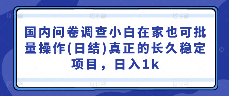 国内问卷调查小白在家也可批量操作(日结)真正的长久稳定项目，日入1k【揭秘】-中创网-创业项目大全_网络资源分享
