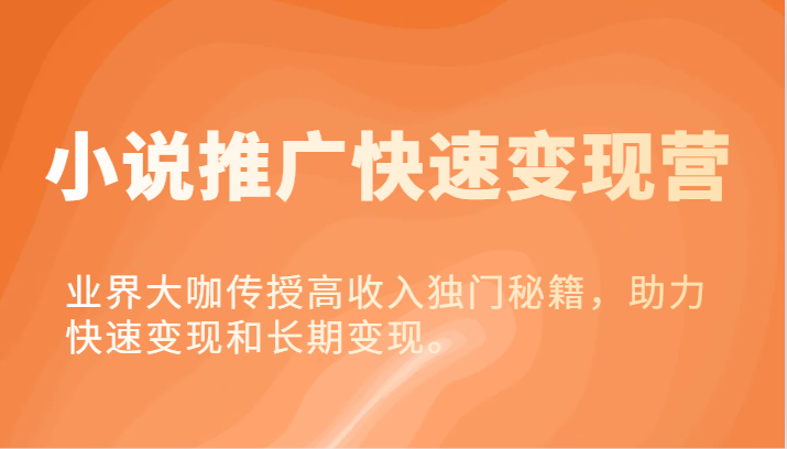 小说集营销推广收益最大化营-业内大佬教给高工资独门秘籍，助推收益最大化或长期转现。-中创网-创业项目大全_网络资源分享