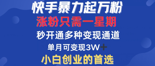 快手暴力起万粉，涨粉只需一星期，多种变现模式，直接秒开万合，单月变现过W【揭秘】-中创网-创业项目大全_网络资源分享