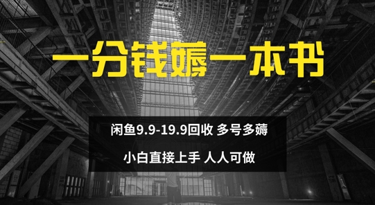 一分钱薅一本书 闲鱼9.9-19.9回收 多号多薅 小白直接上手-中创网-创业项目大全_网络资源分享