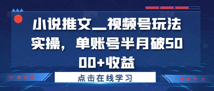 小说推文—视频号玩法实操，单账号半月破5000+收益-中创网-创业项目大全_网络资源分享