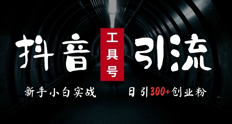 2024最新抖音工具号引流玩法，高效日引300+创业粉，当天变现5k，小白也可成为实战高手-中创网-创业项目大全_网络资源分享
