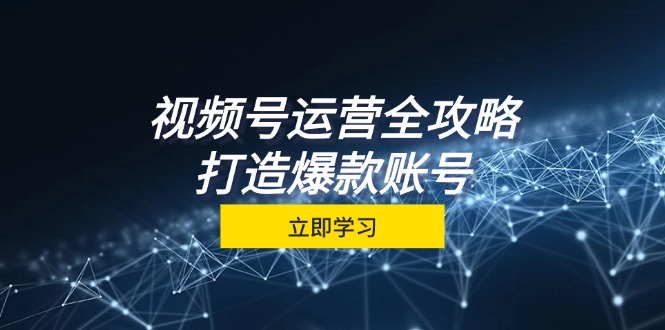 （12912期）视频号运营全攻略，从定位到成交一站式学习，视频号核心秘诀，打造爆款…-中创网-创业项目大全_网络资源分享