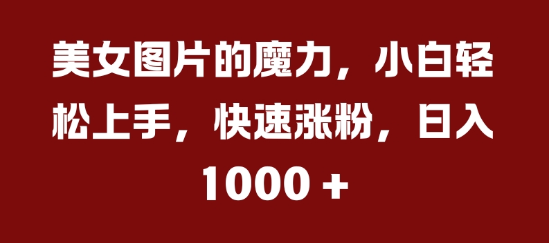 美女图片的魔力，小白轻松上手，快速涨粉，日入几张【揭秘】-中创网-创业项目大全_网络资源分享