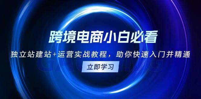 跨境电商小白必看！独立站建站+运营实战教程，助你快速入门并精通-中创网-创业项目大全_网络资源分享