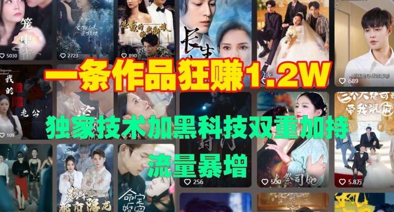 一条作品收益1.2w，独家技术加黑科技双重加持，流量暴增-中创网-创业项目大全_网络资源分享