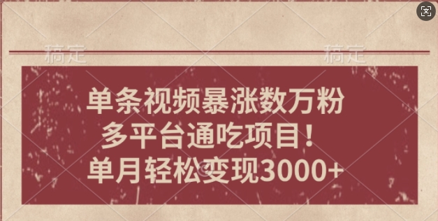一条作品涨万粉，轻松上手，单月简单变现3000+-中创网-创业项目大全_网络资源分享