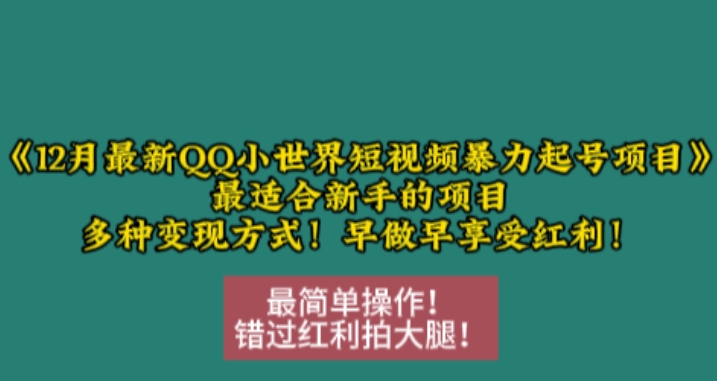 12月最新QQ小世界短视频暴力起号项目，最适合新手的项目，多种变现方式-中创网-创业项目大全_网络资源分享
