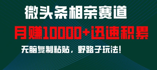 微头条相亲赛道，迅速积累，无脑复制粘贴，野路子玩法，月入1w-中创网-创业项目大全_网络资源分享