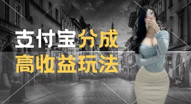 支付宝分成计划新玩法，利用交通事故视频，赚收益，轻松月入过W，操作简单【揭秘】-中创网-创业项目大全_网络资源分享