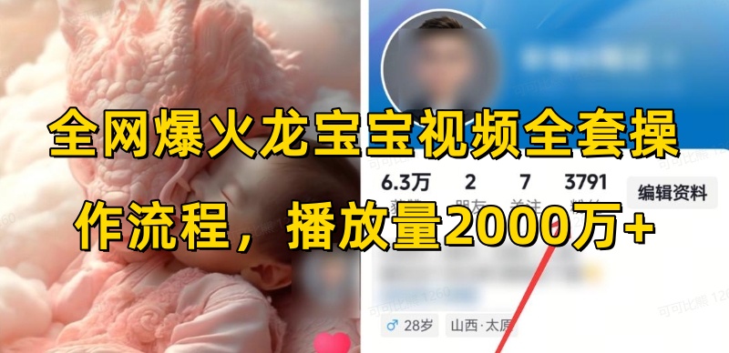 全网爆火龙宝宝视频全套操作流程，播放量2000万+-中创网-创业项目大全_网络资源分享