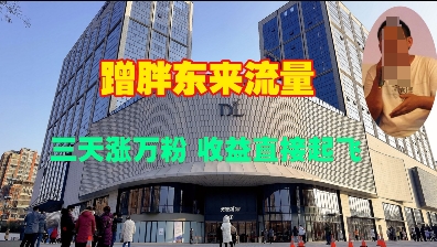 蹭胖东来流量，三天涨万粉，收益直接起飞-中创网-创业项目大全_网络资源分享