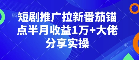 短剧推广拉新番茄锚点半月收益1万+大佬分享实操-中创网-创业项目大全_网络资源分享