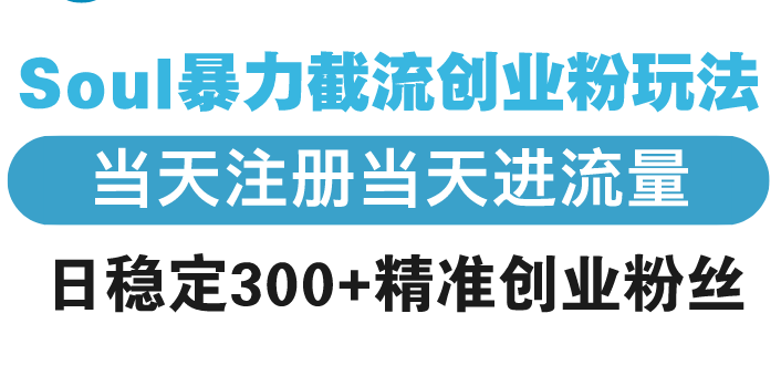 （13935期）Soul暴力截流创业粉玩法，当天注册当天进流量，日稳定300+精准创业粉丝-中创网-创业项目大全_网络资源分享