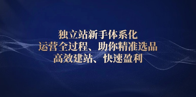 （13914期）独立站新手体系化 运营全过程，助你精准选品、高效建站、快速盈利-中创网-创业项目大全_网络资源分享