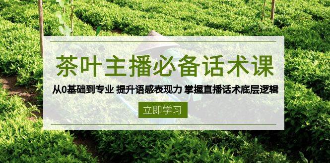茶叶主播必备话术课 从0基础到专业 提升语感表现力 掌握直播话术底层逻辑-中创网-创业项目大全_网络资源分享
