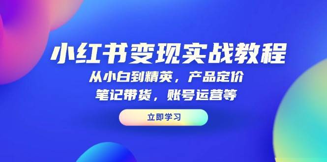 小红书变现实战教程：从小白到精英，产品定价，笔记带货，账号运营等-中创网-创业项目大全_网络资源分享