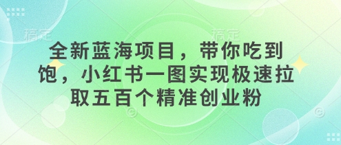 全新蓝海项目，带你吃到饱，小红书一图实现极速拉取五百个精准创业粉-中创网-创业项目大全_网络资源分享