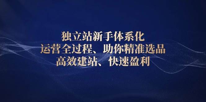独立站新手体系化 运营全过程，助你精准选品、高效建站、快速盈利-中创网-创业项目大全_网络资源分享