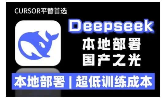 2025年deepseek R1 大型模型当地部署应用(文档 实例教程)本地部署，极低练习成本费-中创网-创业项目大全_网络资源分享