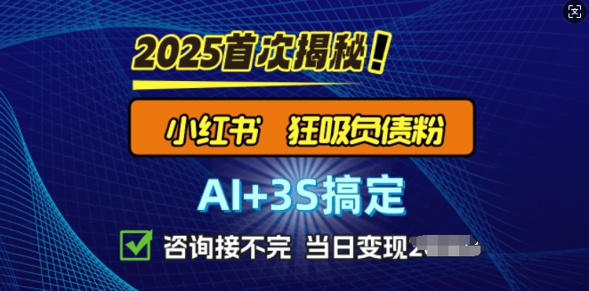 2025引流方法吊顶天花板：全新小红书的狂怒债务粉构思，资询接持续，当日入好几张-中创网-创业项目大全_网络资源分享
