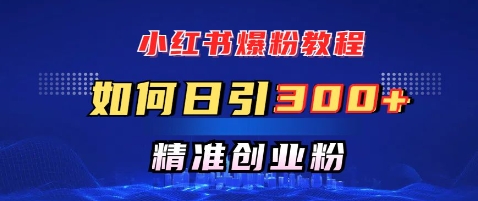小红书的涨粉实例教程，怎样日引300 自主创业粉，迅速进行精准转现-中创网-创业项目大全_网络资源分享