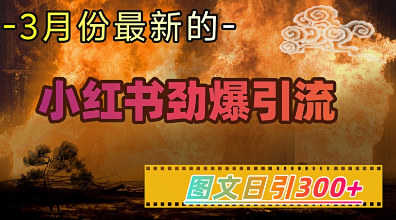 小红书的超劲爆引流方法方式，图文并茂日引300 轻轻松松转现1W-中创网-创业项目大全_网络资源分享