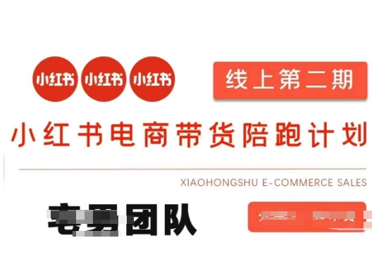 小红书电商带货课2期，月利润20个的小红书电商的有货源，无货源，虚拟产品，付费投流等整套玩法-中创网-创业项目大全_网络资源分享
