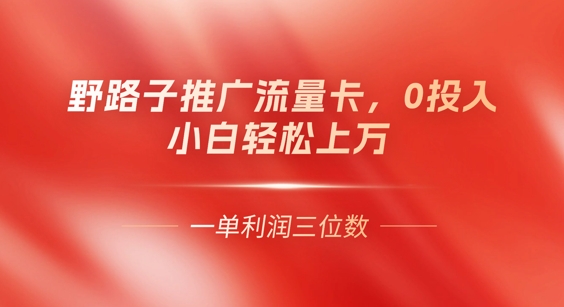 0门槛推广流量卡，一单收益上百，0投入，小白月入过W-中创网-创业项目大全_网络资源分享