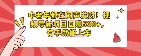 中老年人都是在闷声发财，微信视频号最新项目日入好几张，两双手就可进入车内-中创网_专注互联网创业,项目资源整合-中创网-创业项目大全_网络资源分享