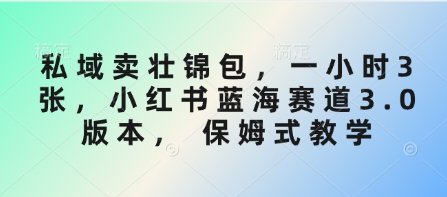 公域卖壮锦包，一小时3张，小红书的瀚海跑道3.0版本号， 跟踪服务课堂教学-中创网_专注互联网创业,项目资源整合-中创网-创业项目大全_网络资源分享