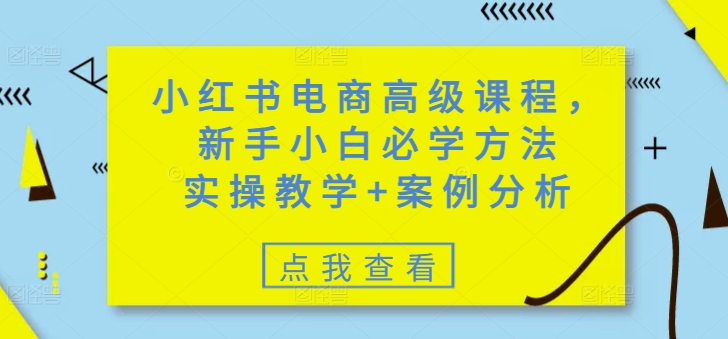 小红书电商高级课程，新手入门必会方式，实际操作课堂教学 经典案例-中创网-创业项目大全_网络资源分享