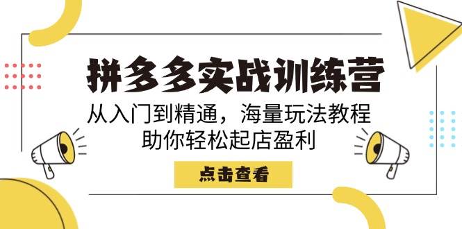 拼多多平台实战演练夏令营，实用教程，大量游戏玩法实例教程，帮助你轻轻松松出单赢利-中创网-创业项目大全_网络资源分享