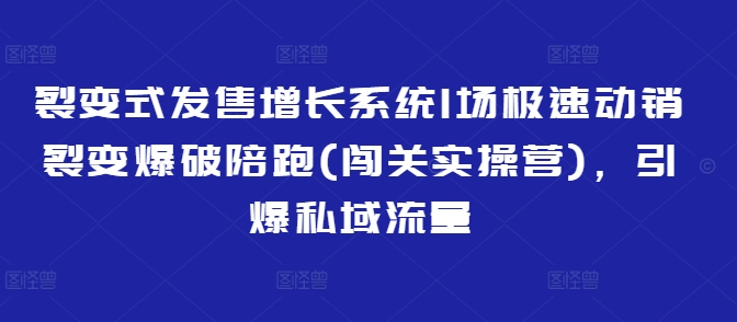 裂变开售提高系统软件1场急速促销裂变式工程爆破陪跑(冲关实际操作营)，点爆私域流量池-中创网-创业项目大全_网络资源分享