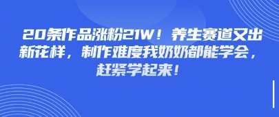 20条作品涨粉21W！养生赛道又出新花样，制作难度我奶奶都能学会，赶紧学起来-中创网-创业项目大全_网络资源分享