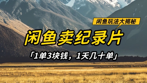 闲鱼卖纪录片1单3块钱，1天几十单，项目稳定有潜力-中创网-创业项目大全_网络资源分享