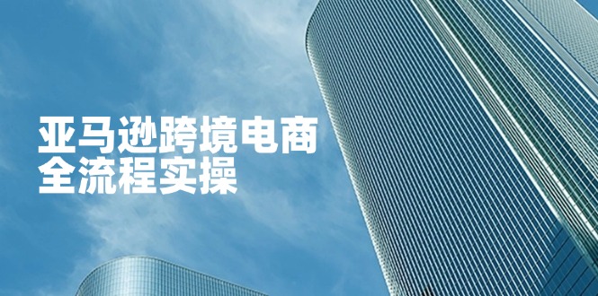 （14252期）亚马逊跨境电商全流程实操，教你从零开始，掌握店铺运营与广告技巧-中创网-创业项目大全_网络资源分享