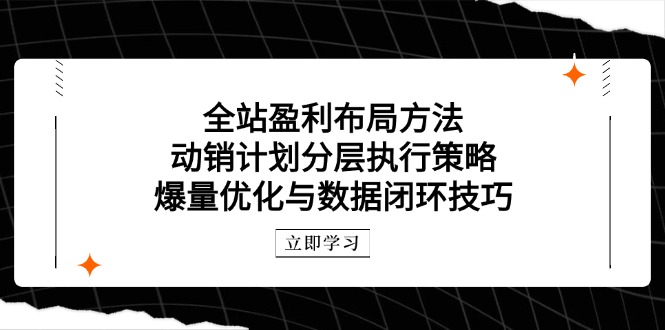 （14698期）全站盈利布局方法：动销计划分层执行策略，爆量优化与数据闭环技巧-中创网-创业项目大全_网络资源分享