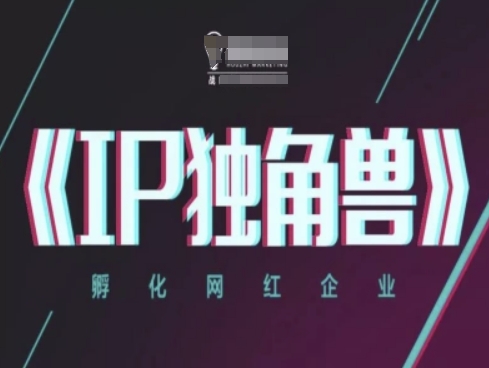 IP独角兽，孵化网红企业，ip教程-中创网-创业项目大全_网络资源分享
