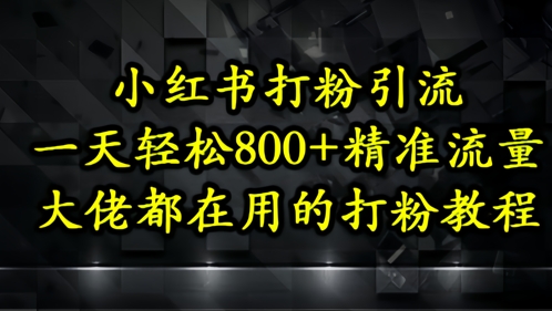 小红书打粉引流，一天轻松500+精准流量，大佬都在用的打粉教程-中创网-创业项目大全_网络资源分享