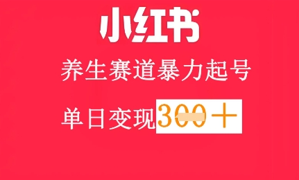 小红书养生赛道，暴力起号，轻松日入3张+-中创网-创业项目大全_网络资源分享